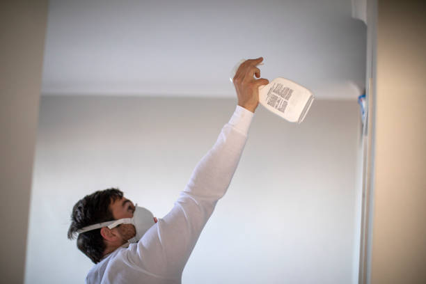 Best Insurance-Related Mold Remediation in Port Richey, FL