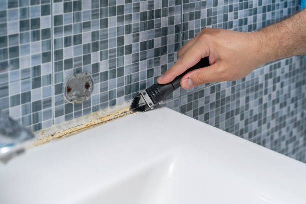 Best DIY Mold Remediation Support Services in Port Richey, FL