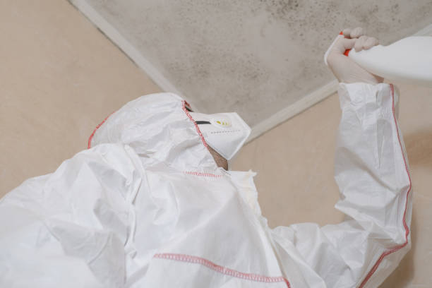 Best Mold Testing and Inspection Services in Port Richey, FL